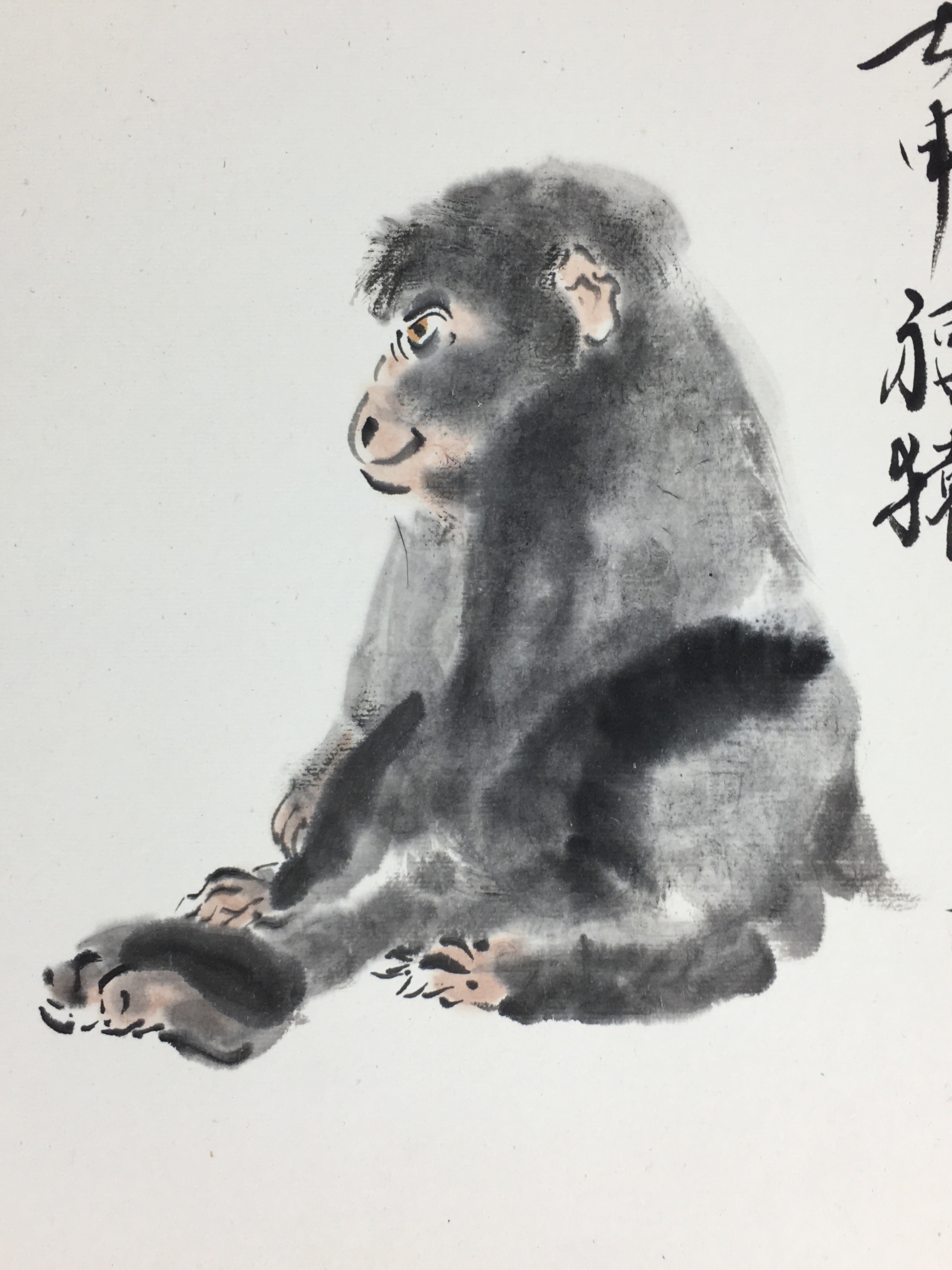 Japanese Art Board Vtg Shikishi Paper Hand Drawn Picture Monkey A429