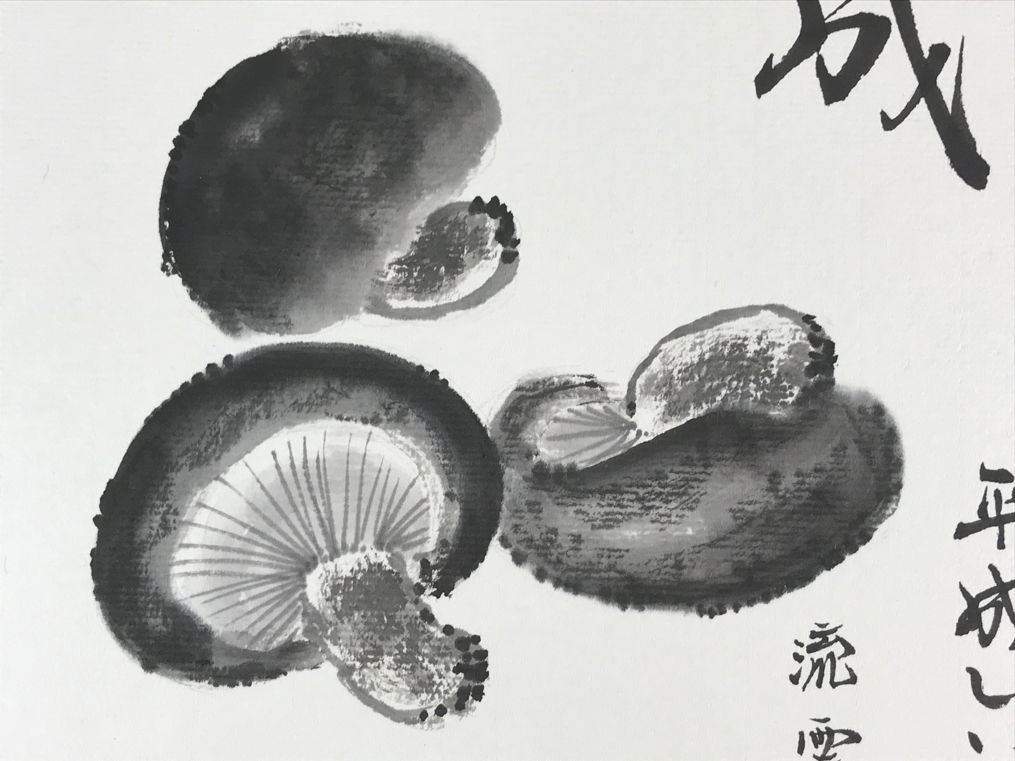 Japanese Art Board Vtg Shikishi Paper Hand Drawn Picture Mushrooms A442