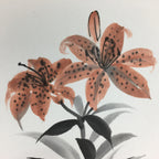 Japanese Art Board Vtg Shikishi Paper Hand Drawn Picture Orange Lily A367