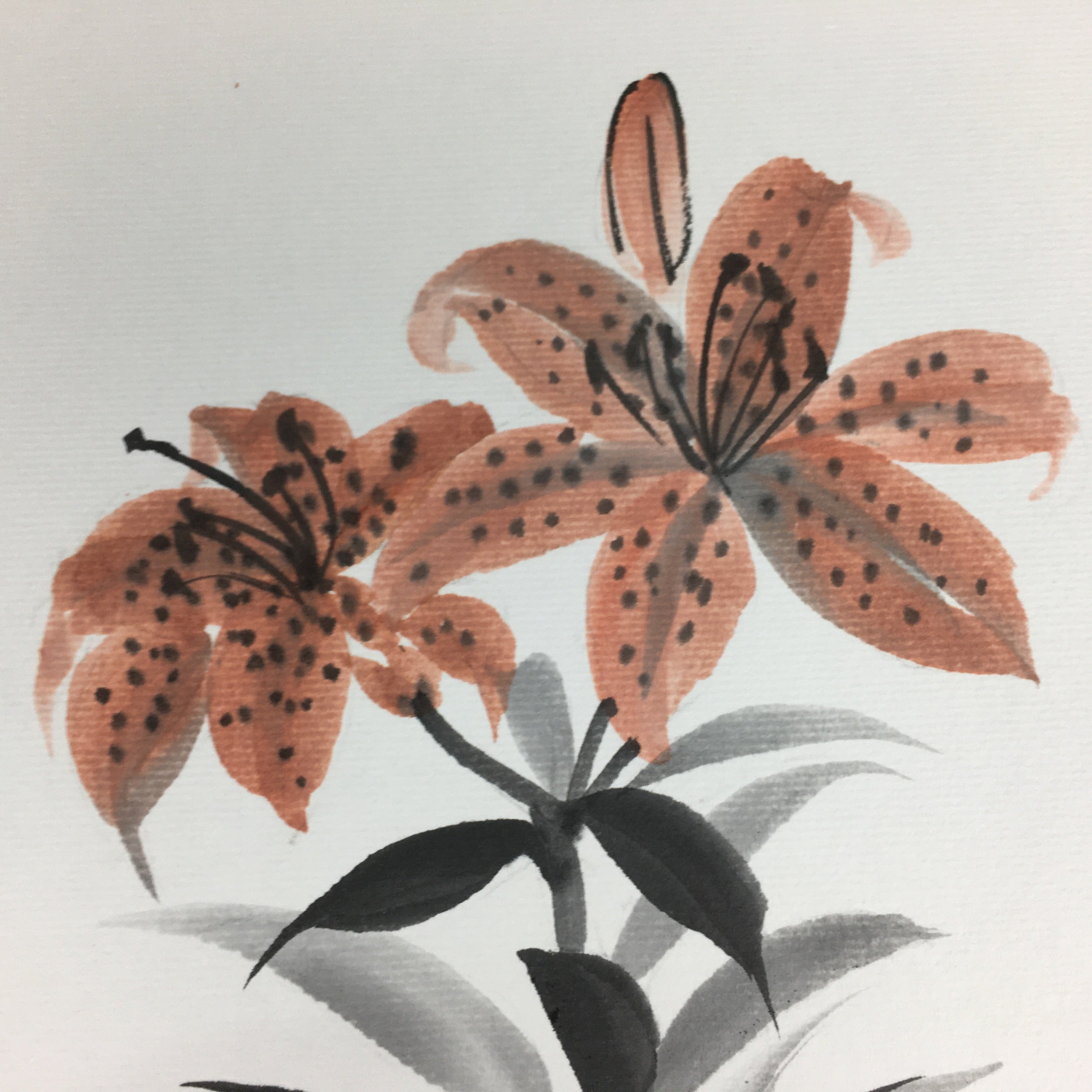 Japanese Art Board Vtg Shikishi Paper Hand Drawn Picture Orange Lily A367