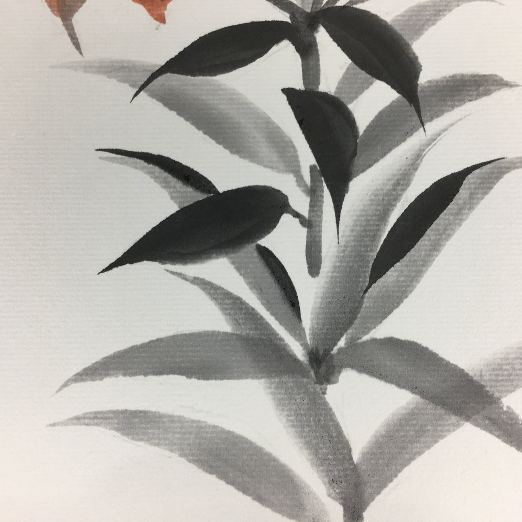 Japanese Art Board Vtg Shikishi Paper Hand Drawn Picture Orange Lily A367