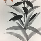 Japanese Art Board Vtg Shikishi Paper Hand Drawn Picture Orange Lily A367