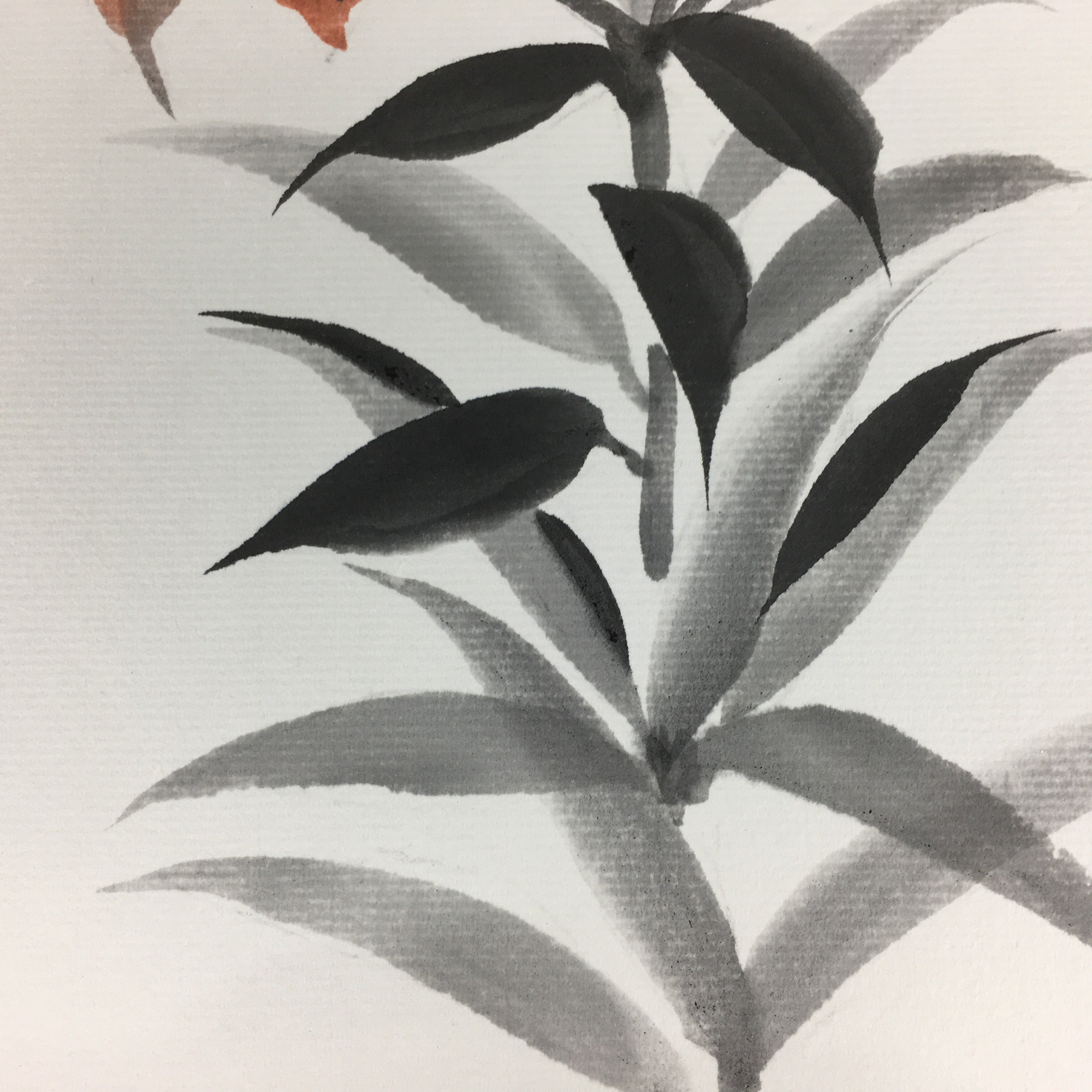 Japanese Art Board Vtg Shikishi Paper Hand Drawn Picture Orange Lily A367