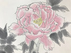 Japanese Art Board Vtg Shikishi Paper Hand Drawn Picture Peony Flower A455
