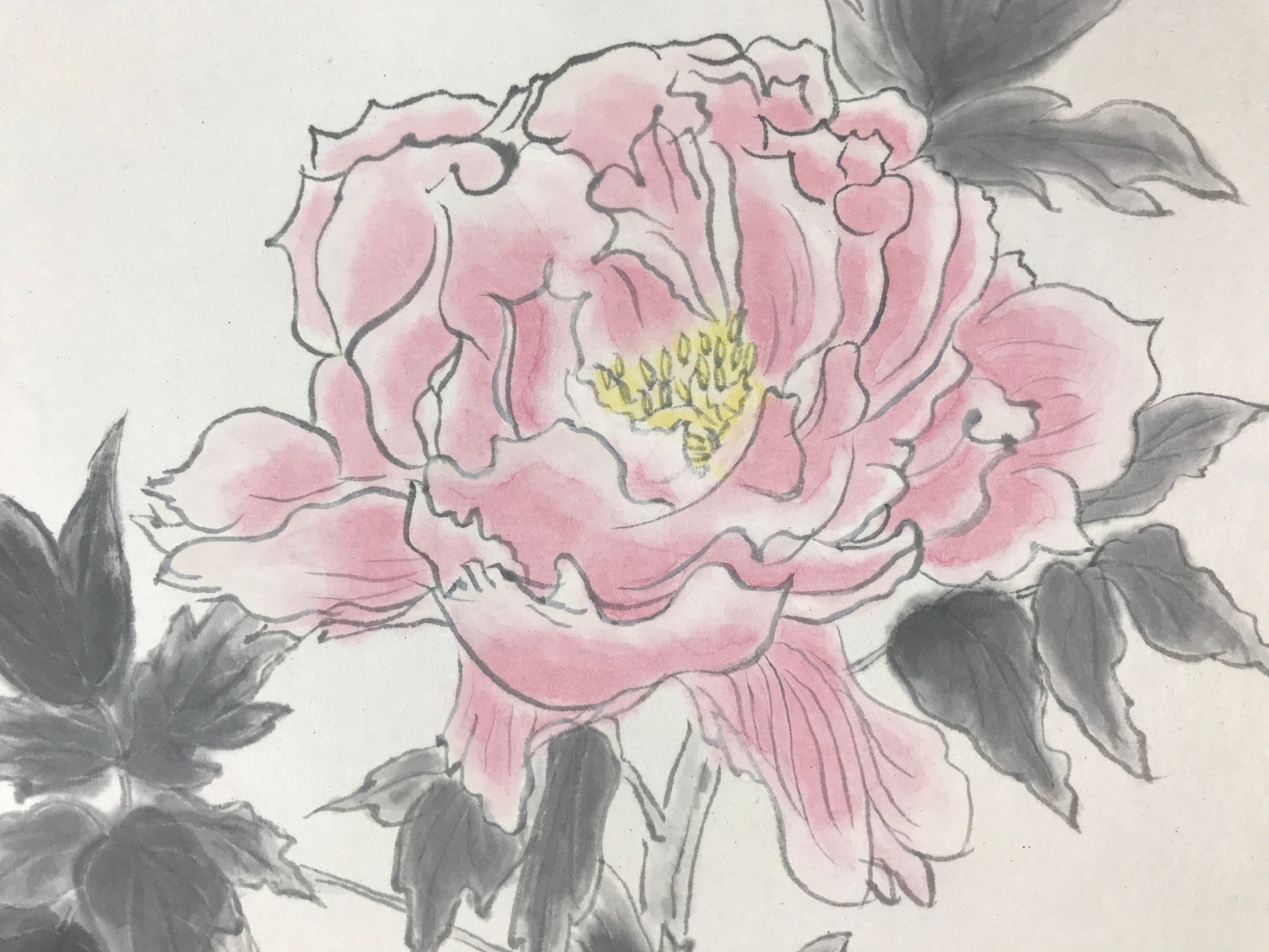Japanese Art Board Vtg Shikishi Paper Hand Drawn Picture Peony Flower A455