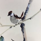 Japanese Art Board Vtg Shikishi Paper Hand Drawn Picture Persimmon Sparrow A350