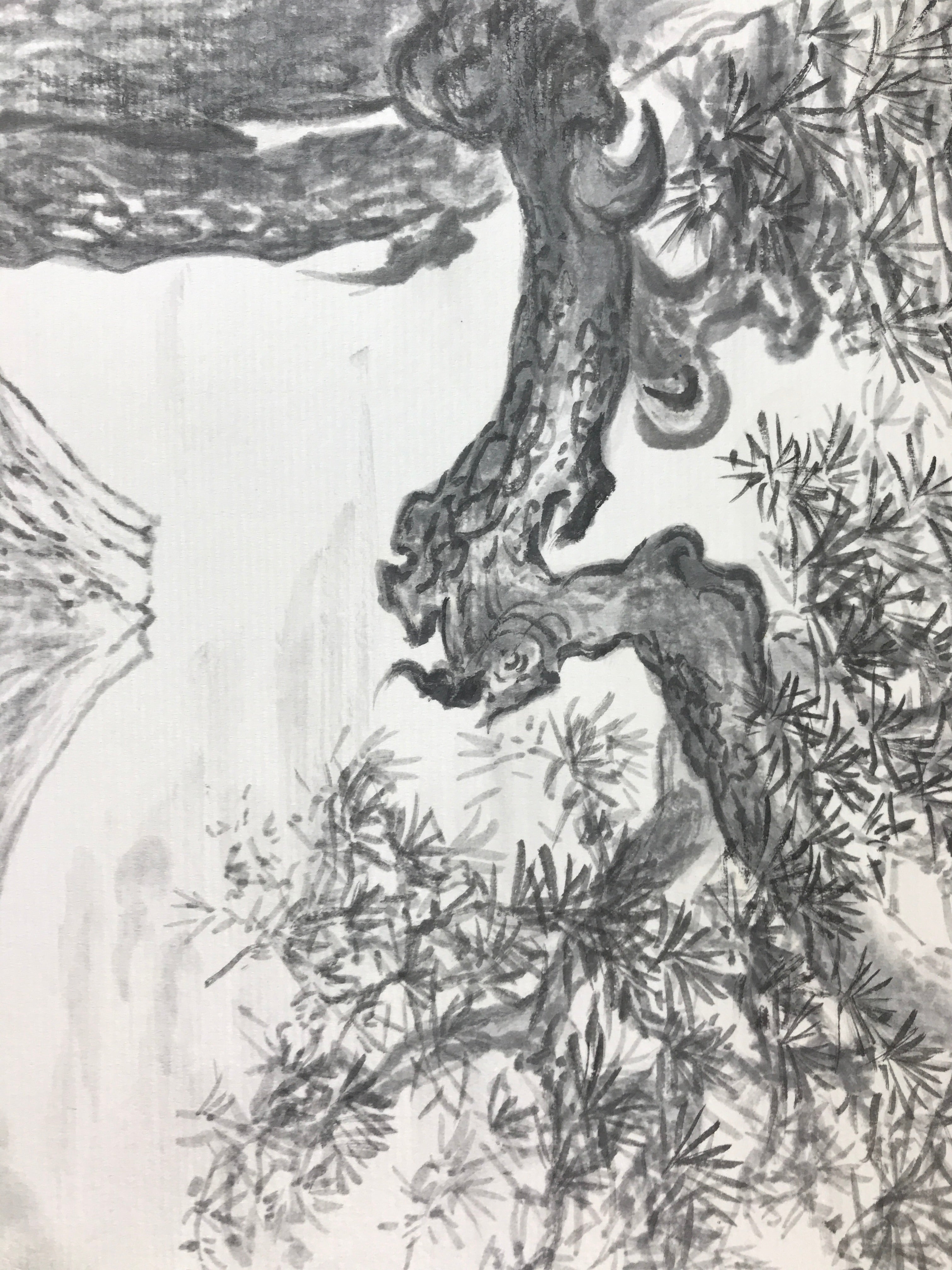 Japanese Art Board Vtg Shikishi Paper Hand Drawn Picture Pine Tree Mountain A452