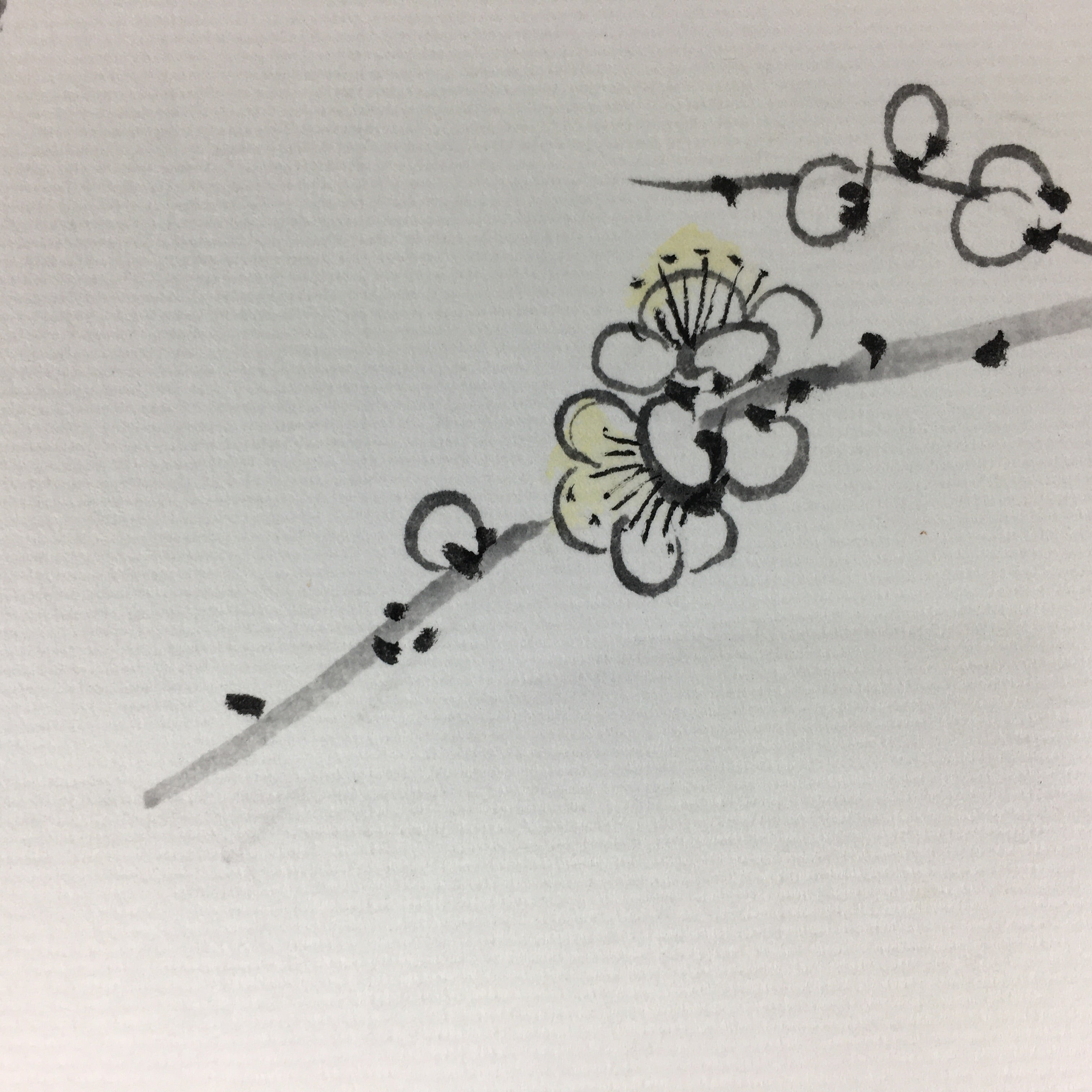 Japanese Art Board Vtg Shikishi Paper Hand Drawn Picture Plum Blossom A372