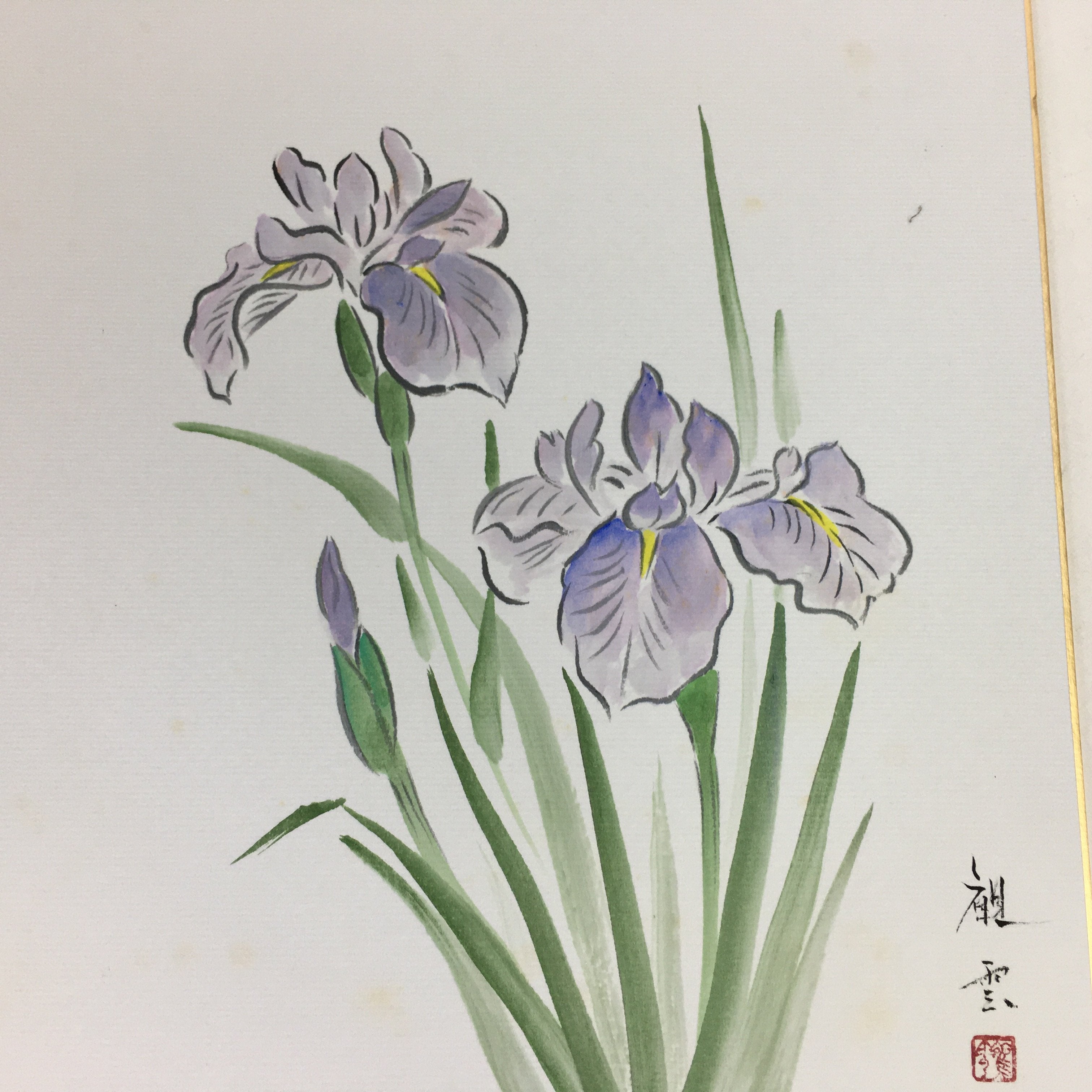 Japanese Art Board Vtg Shikishi Paper Hand Drawn Picture Purple Iris Ayame A344