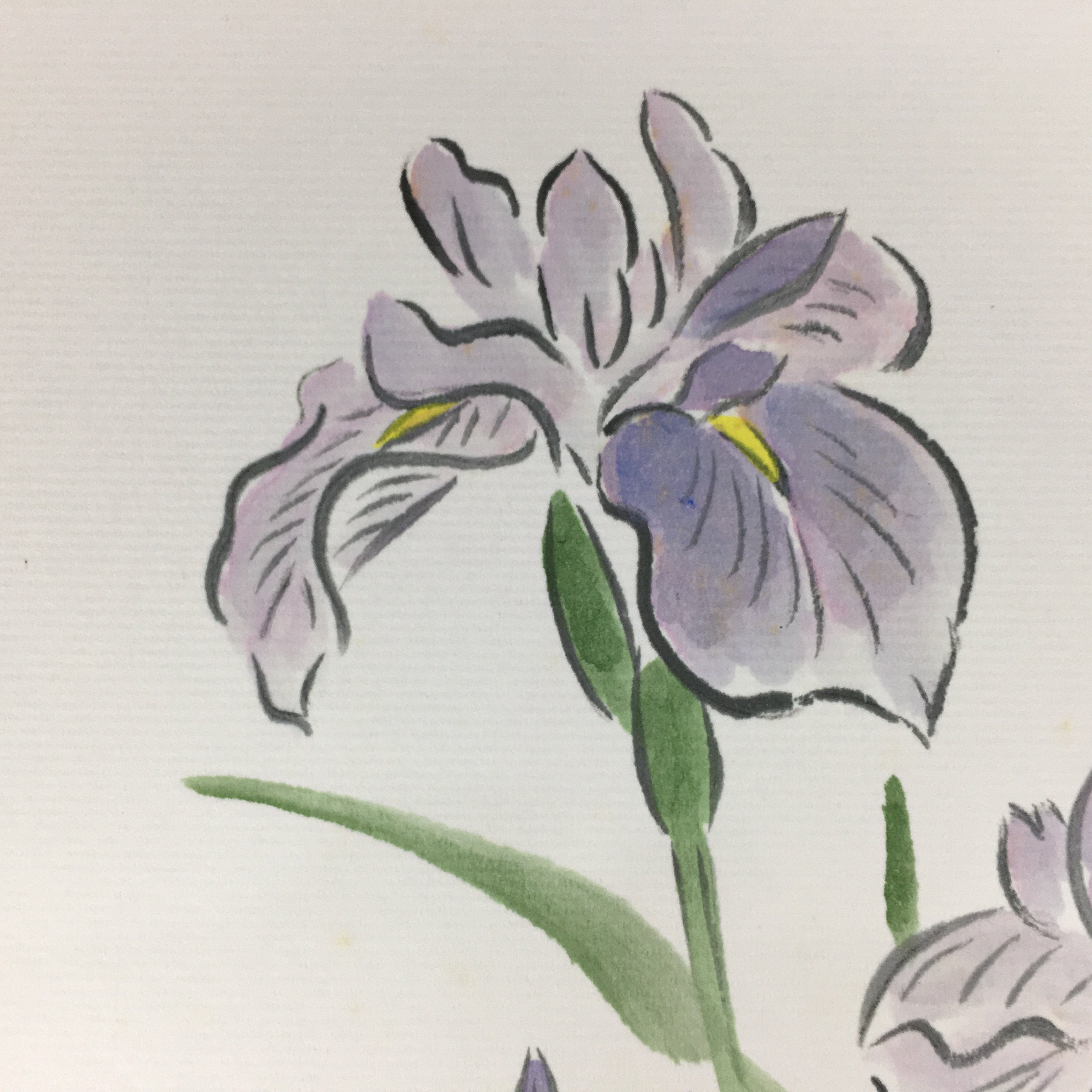 Japanese Art Board Vtg Shikishi Paper Hand Drawn Picture Purple Iris Ayame A344