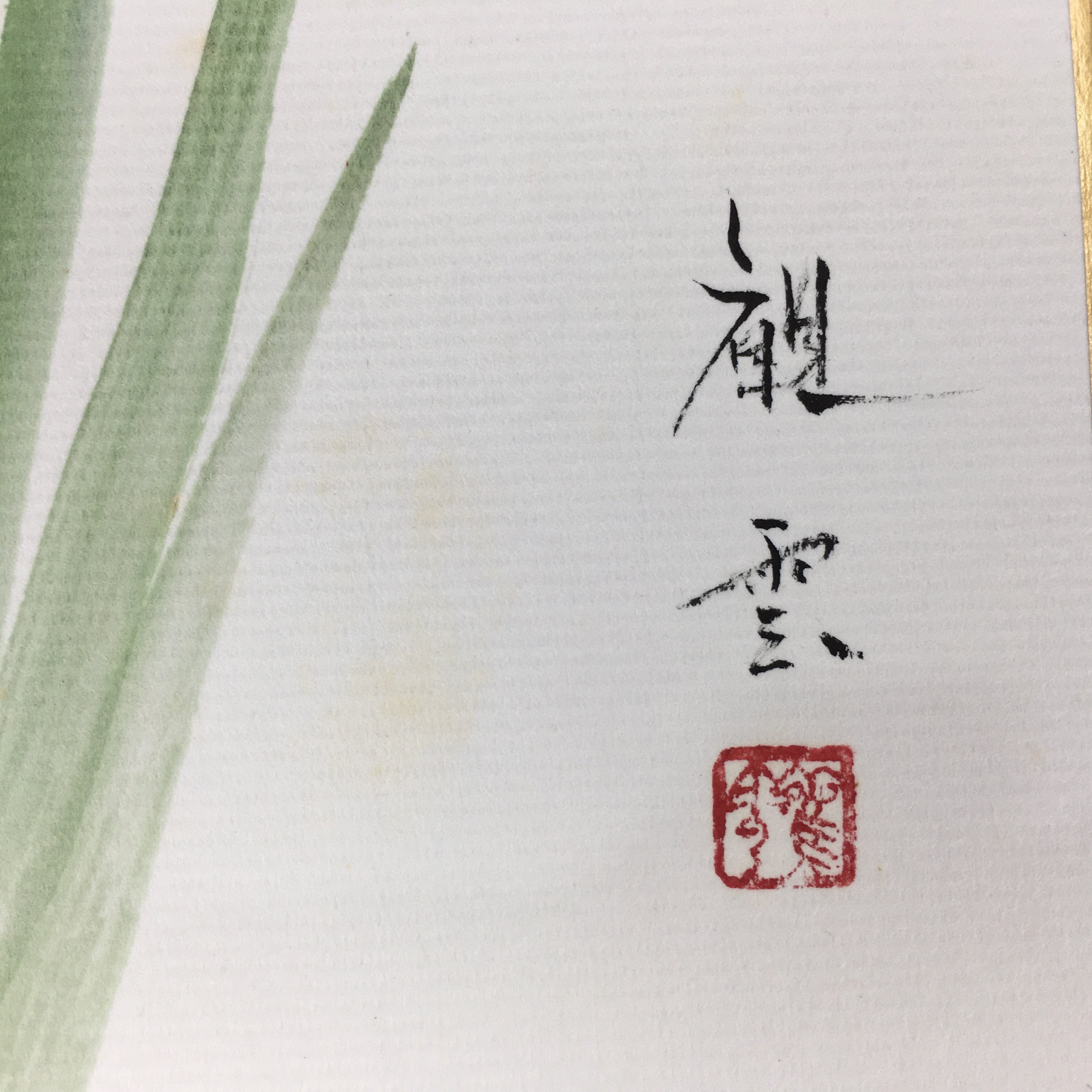 Japanese Art Board Vtg Shikishi Paper Hand Drawn Picture Purple Iris Ayame A344