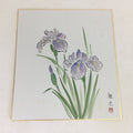 Japanese Art Board Vtg Shikishi Paper Hand Drawn Picture Purple Iris Ayame A344