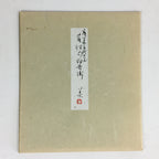 Japanese Art Board Vtg Shikishi Paper Hand Drawn Picture Rabbit A424