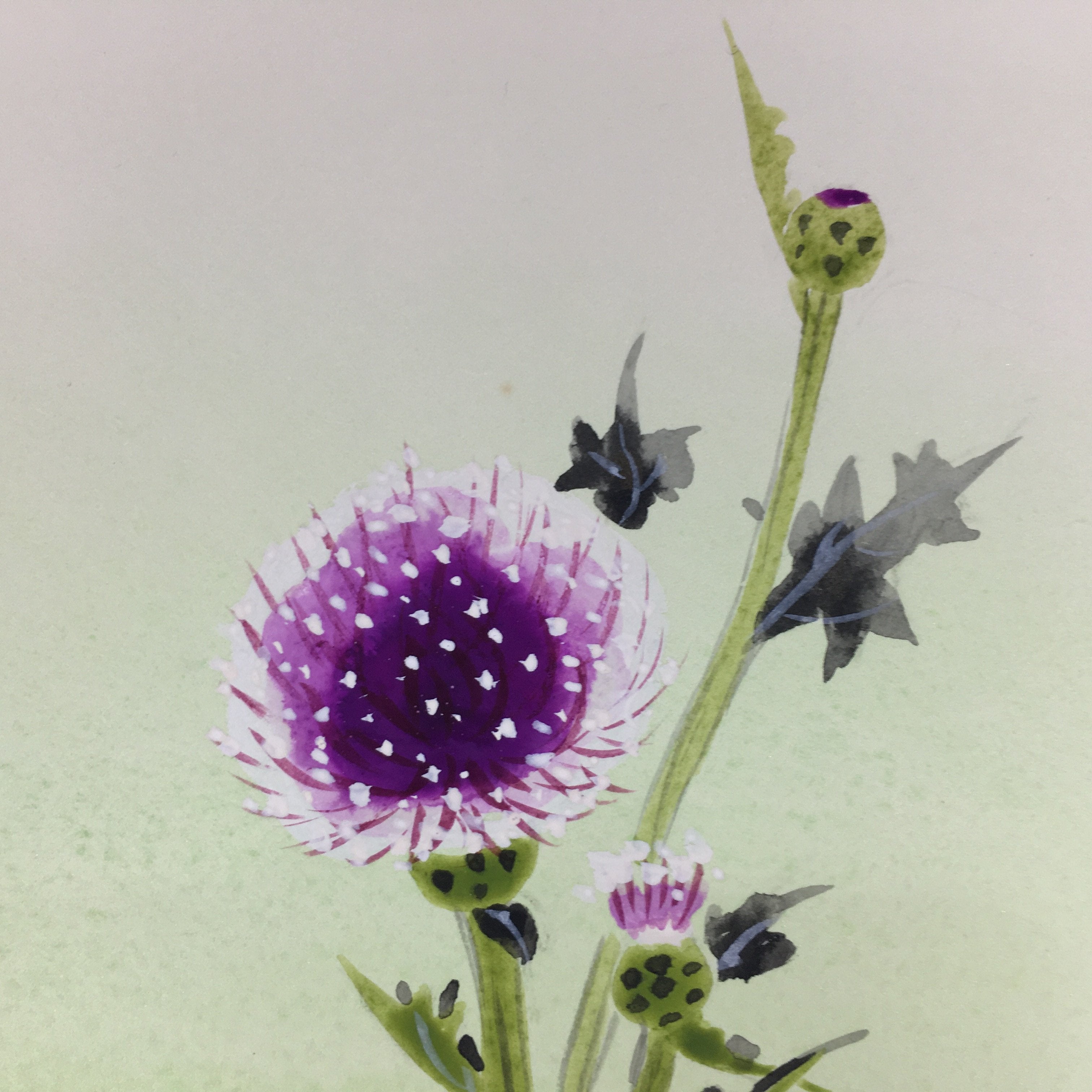 Japanese Art Board Vtg Shikishi Paper Hand Drawn Picture Thistle Flower Azami A3