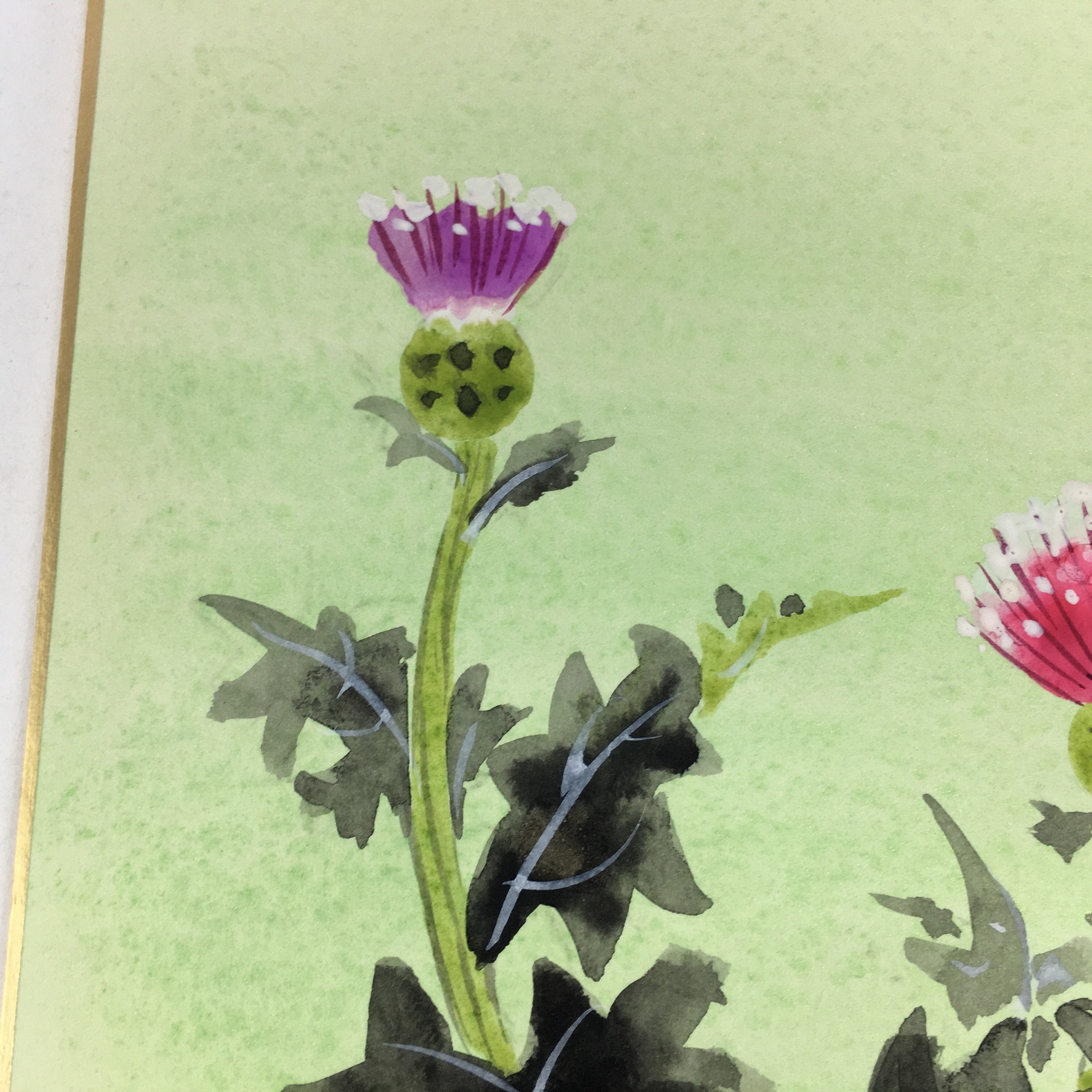 Japanese Art Board Vtg Shikishi Paper Hand Drawn Picture Thistle Flower Azami A3