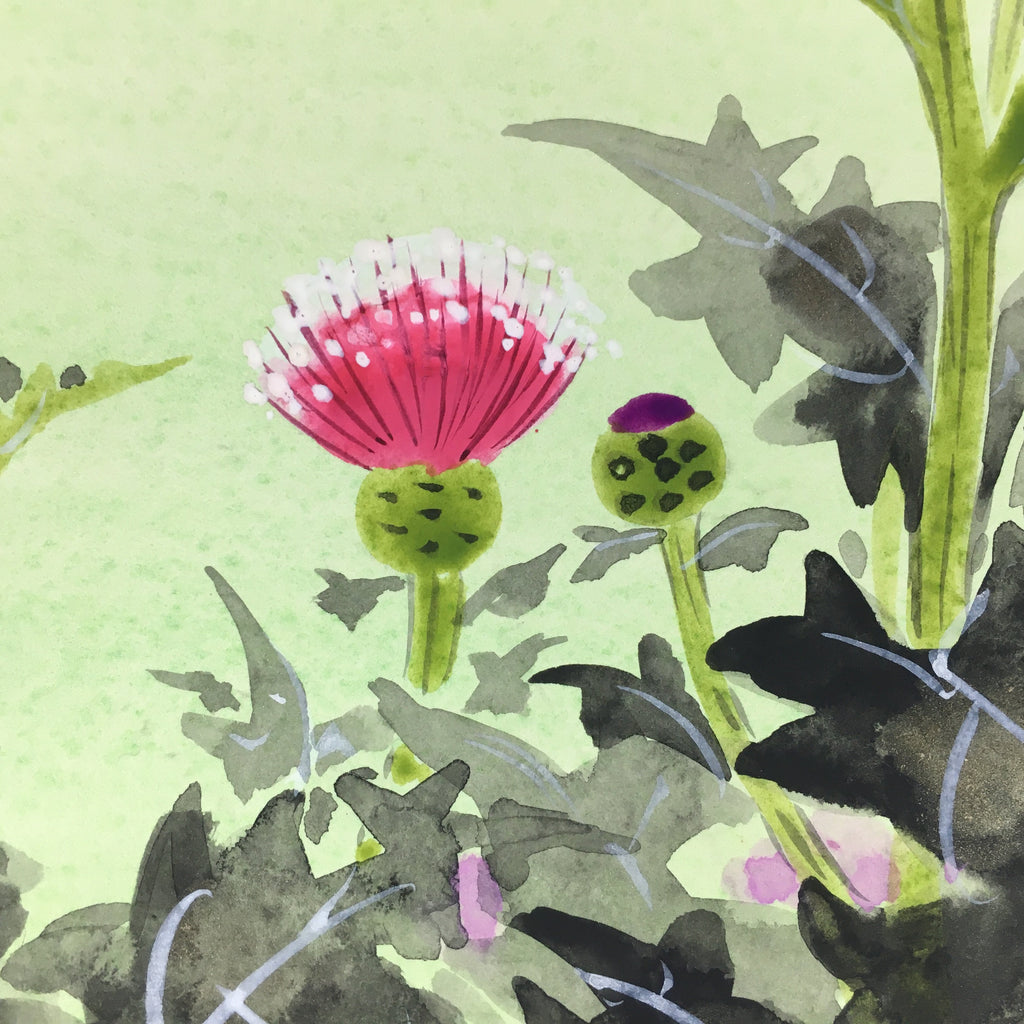 Japanese Art Board Vtg Shikishi Paper Hand Drawn Picture Thistle Flower Azami A3