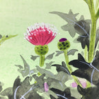 Japanese Art Board Vtg Shikishi Paper Hand Drawn Picture Thistle Flower Azami A3