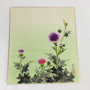 Japanese Art Board Vtg Shikishi Paper Hand Drawn Picture Thistle Flower Azami A3