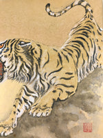 Japanese Art Board Vtg Shikishi Paper Hand Drawn Picture Tiger A435