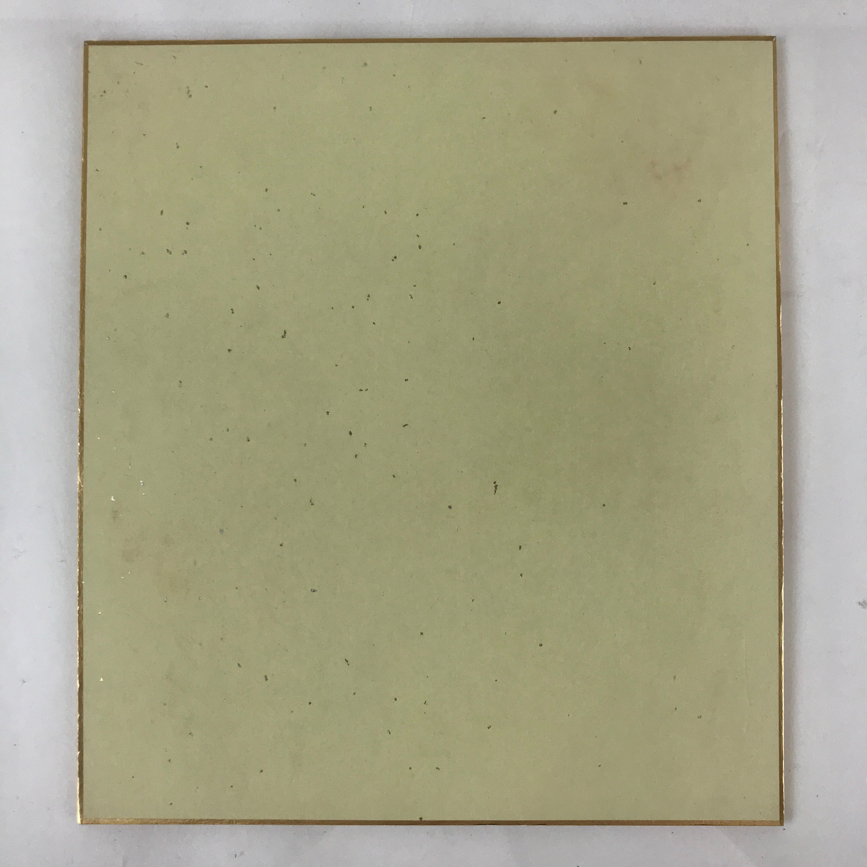 Japanese Art Board Vtg Shikishi Paper Hand Drawn Picture Turtles A454