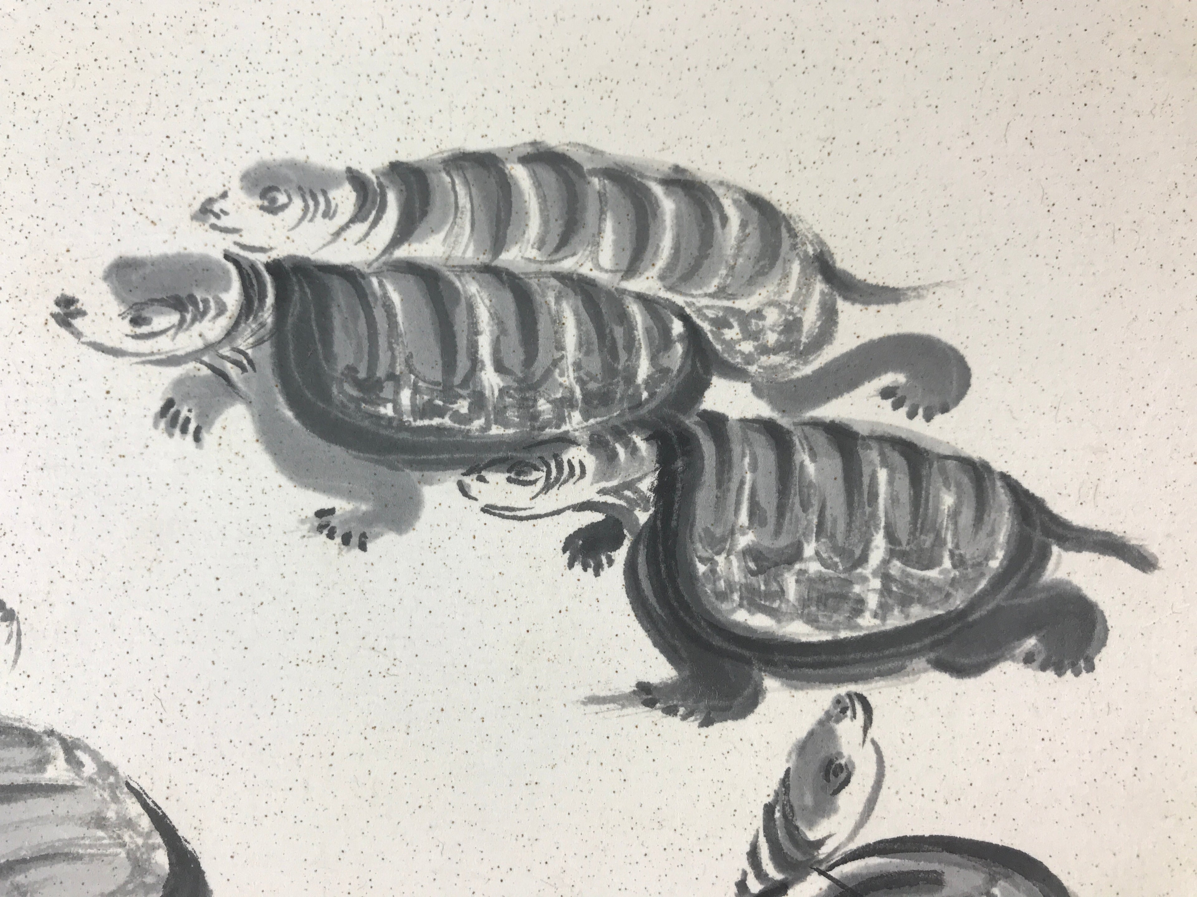 Japanese Art Board Vtg Shikishi Paper Hand Drawn Picture Turtles A454