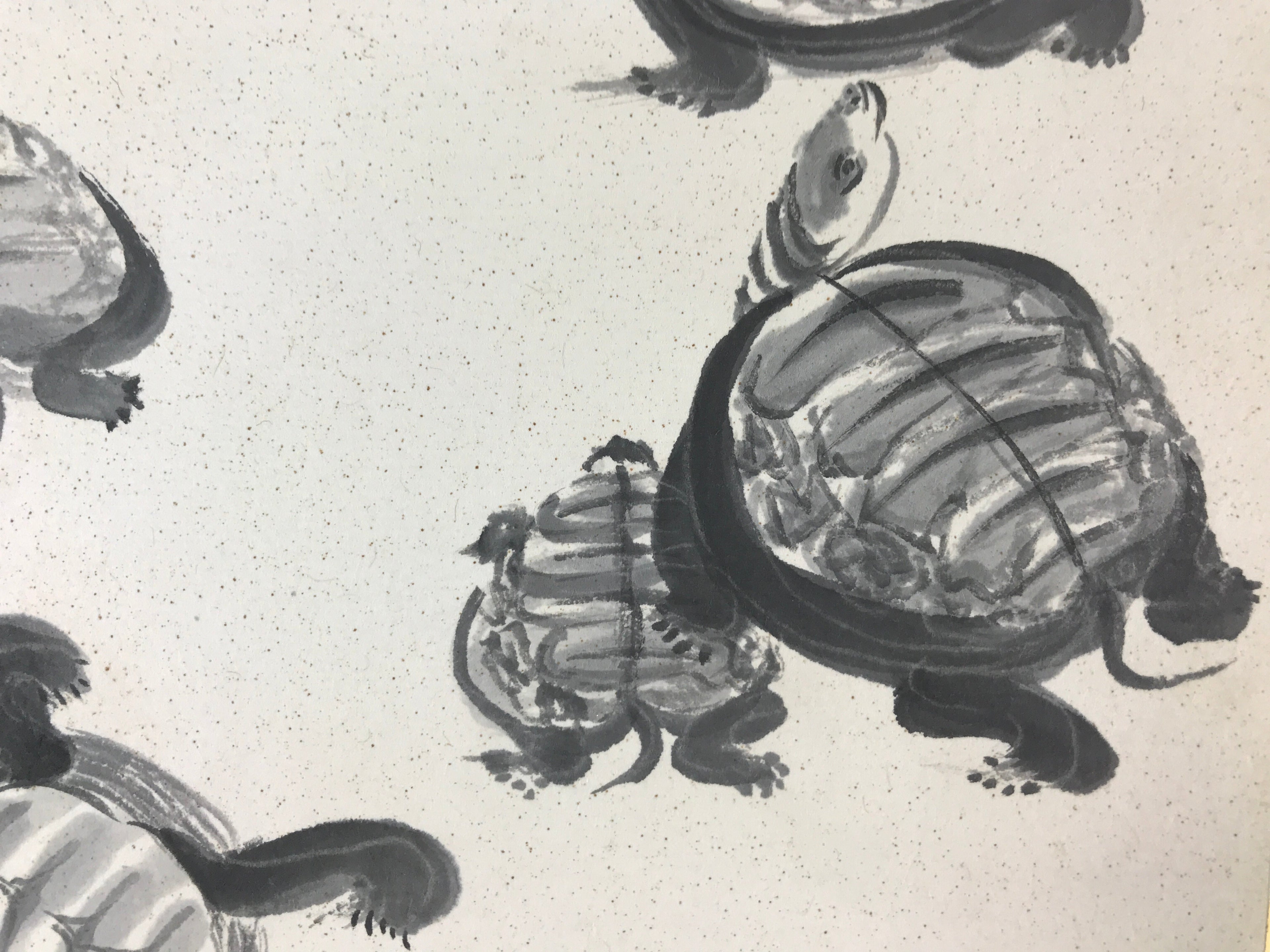 Japanese Art Board Vtg Shikishi Paper Hand Drawn Picture Turtles A454