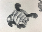 Japanese Art Board Vtg Shikishi Paper Hand Drawn Picture Turtles A454