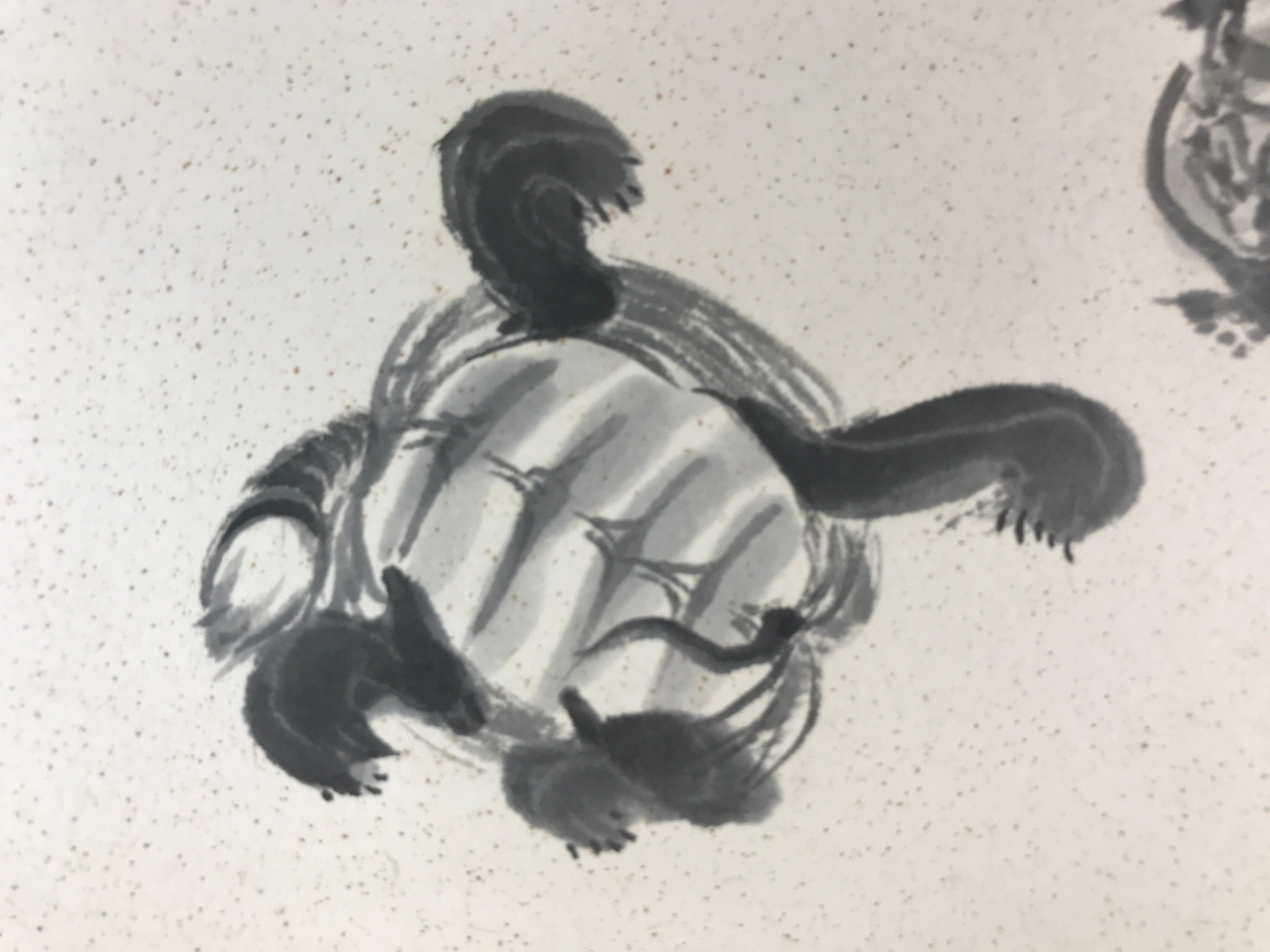 Japanese Art Board Vtg Shikishi Paper Hand Drawn Picture Turtles A454