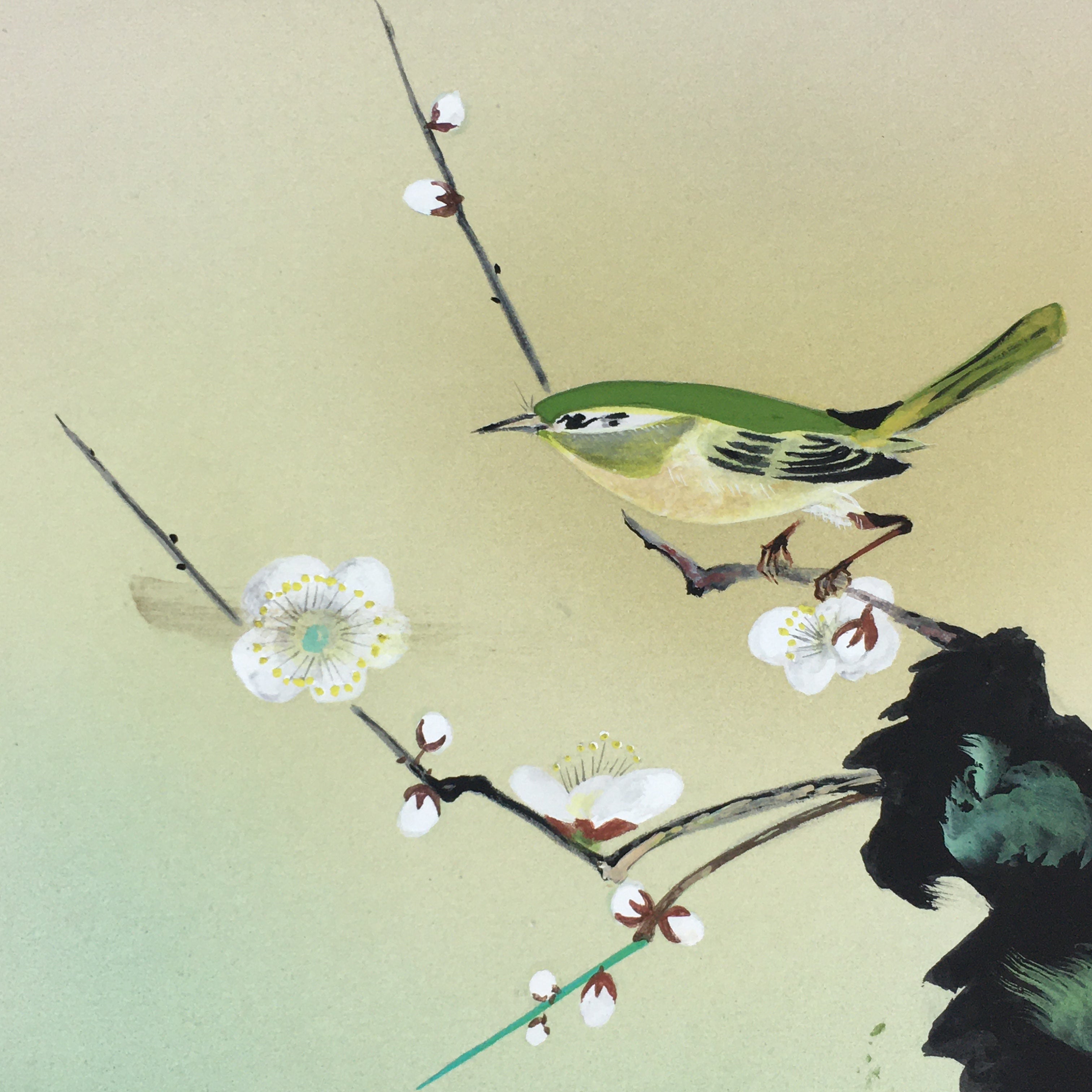 Japanese Art Board Vtg Shikishi Paper Hand Drawn Picture Warbler A406