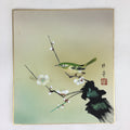 Japanese Art Board Vtg Shikishi Paper Hand Drawn Picture Warbler A406