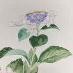 Japanese Art Board Vtg Shikishi Paper Hand Drawn Picture White Hydrangea A347