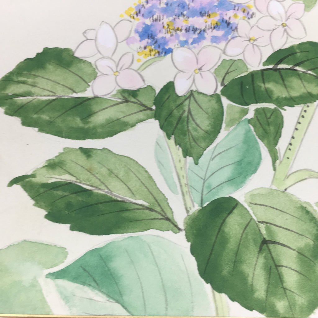 Japanese Art Board Vtg Shikishi Paper Hand Drawn Picture White Hydrangea A347