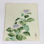 Japanese Art Board Vtg Shikishi Paper Hand Drawn Picture White Hydrangea A347