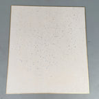 Japanese Art Board Vtg Shikishi Paper Hand-painted Calligraphy Kanji A293