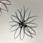 Japanese Art Board Vtg Shikishi Paper Hand-painted Calligraphy Kanji Flower A322