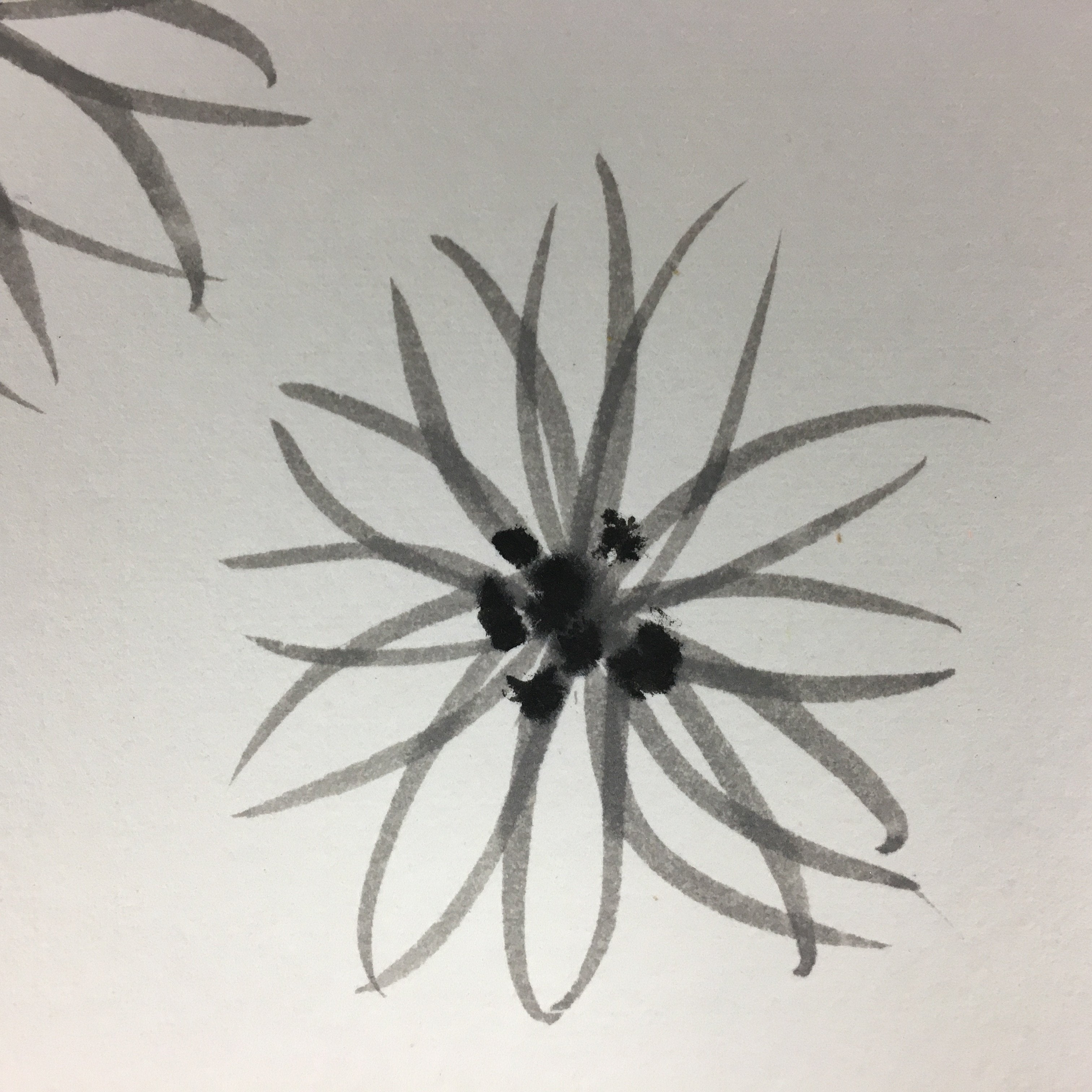 Japanese Art Board Vtg Shikishi Paper Hand-painted Calligraphy Kanji Flower A322