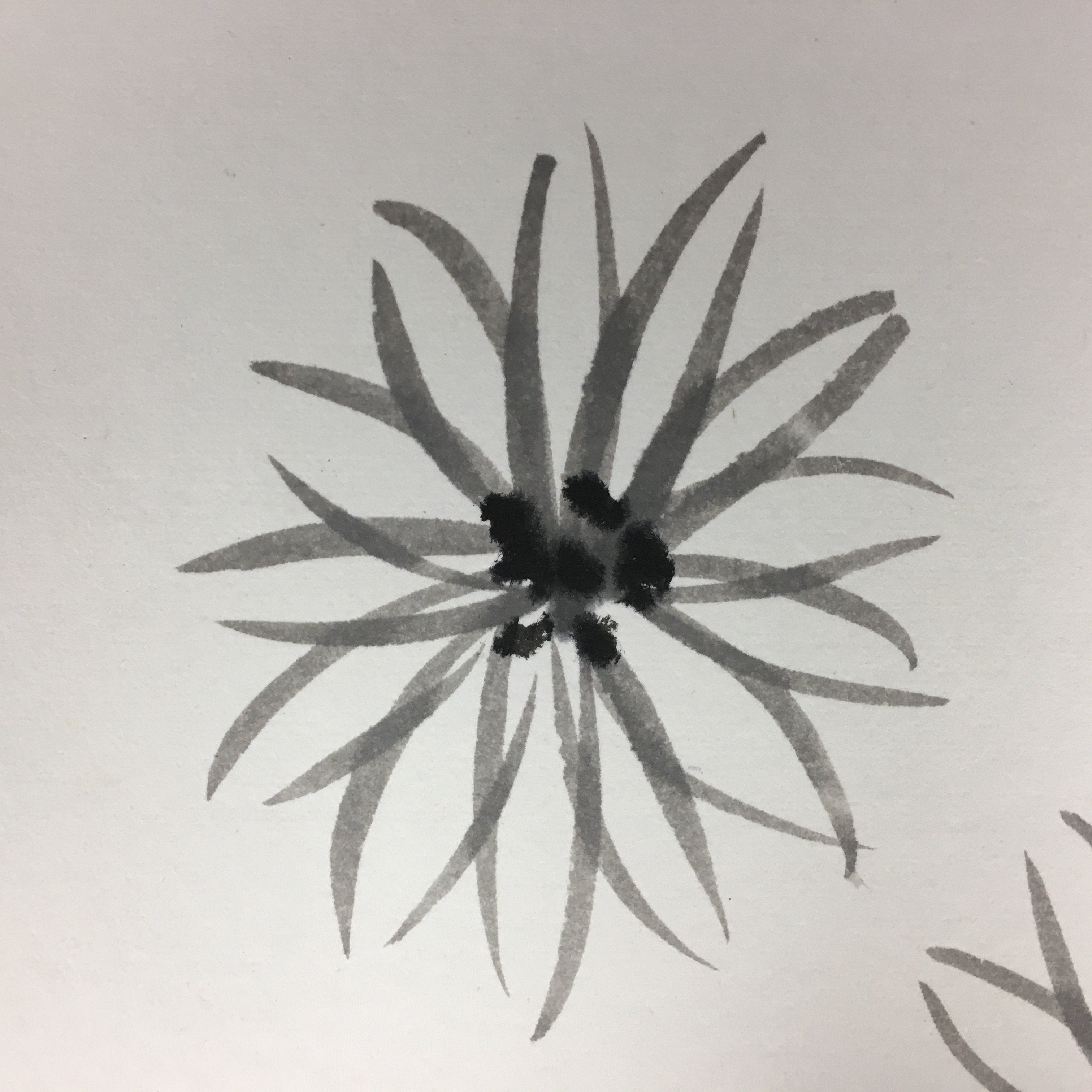 Japanese Art Board Vtg Shikishi Paper Hand-painted Calligraphy Kanji Flower A322