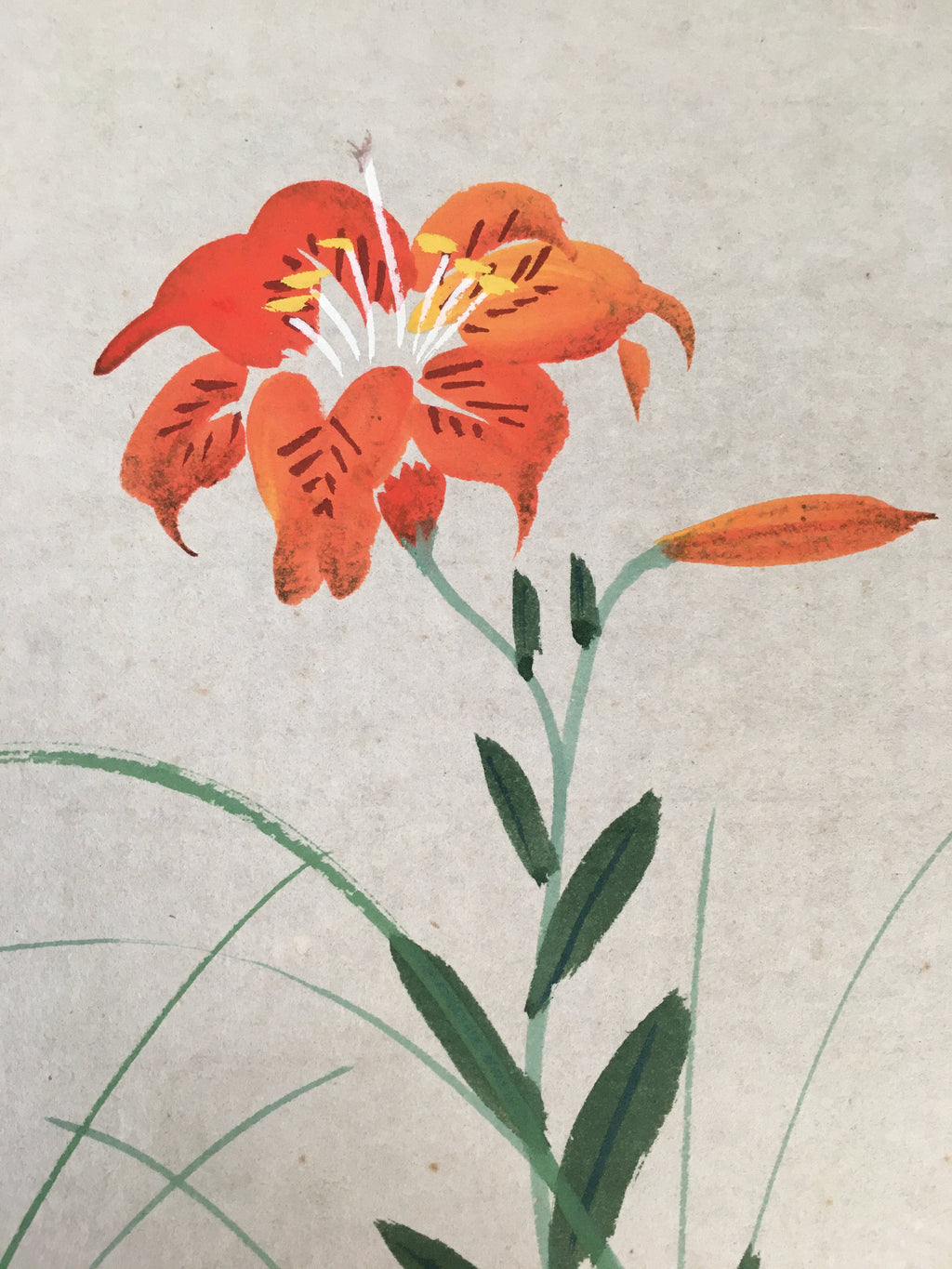 Japanese Art Board Vtg Shikishi Paper Hand-painted Lily Flower Red A313
