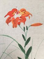 Japanese Art Board Vtg Shikishi Paper Hand-painted Lily Flower Red A313