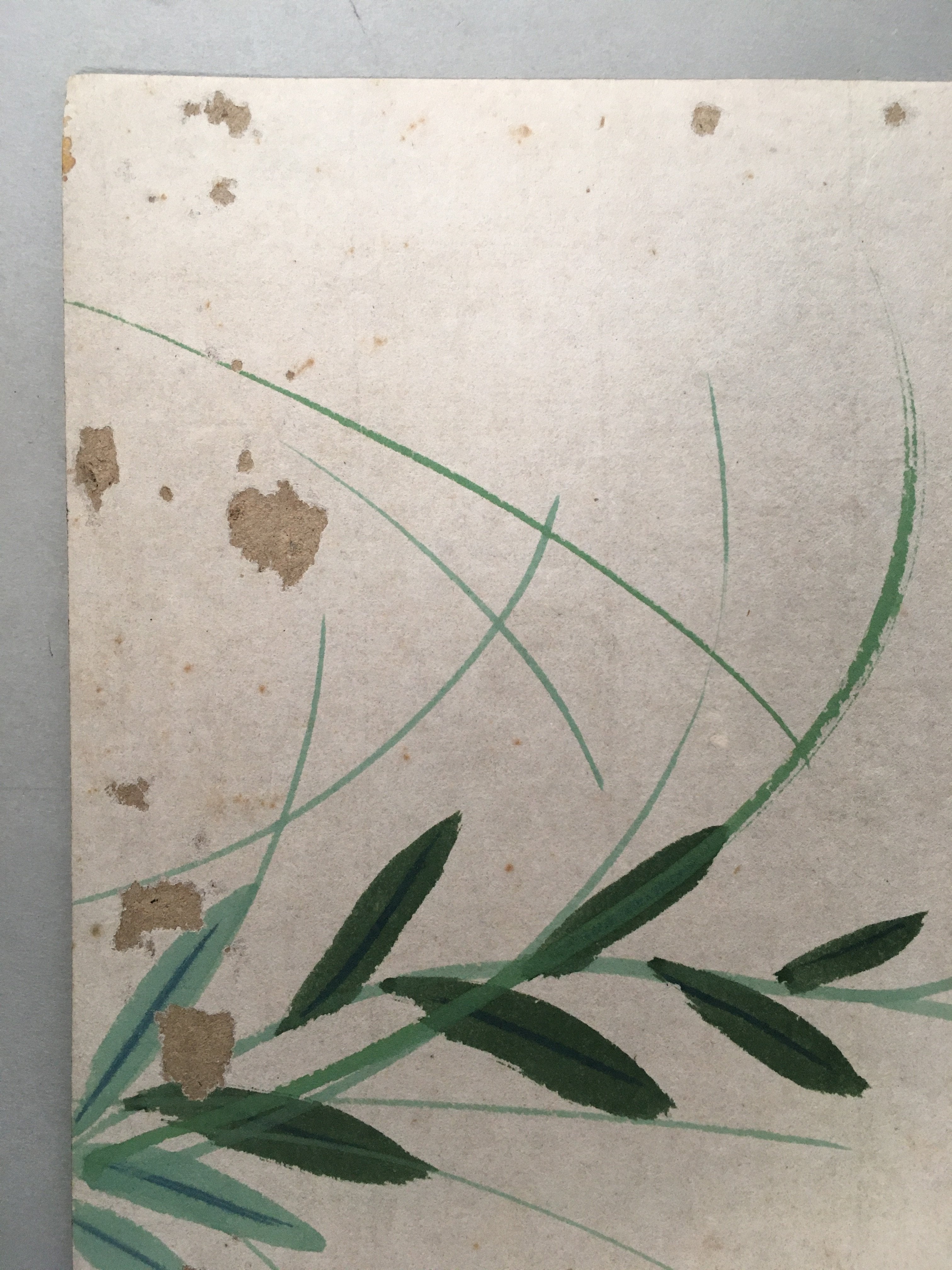 Japanese Art Board Vtg Shikishi Paper Hand-painted Lily Flower Red A313