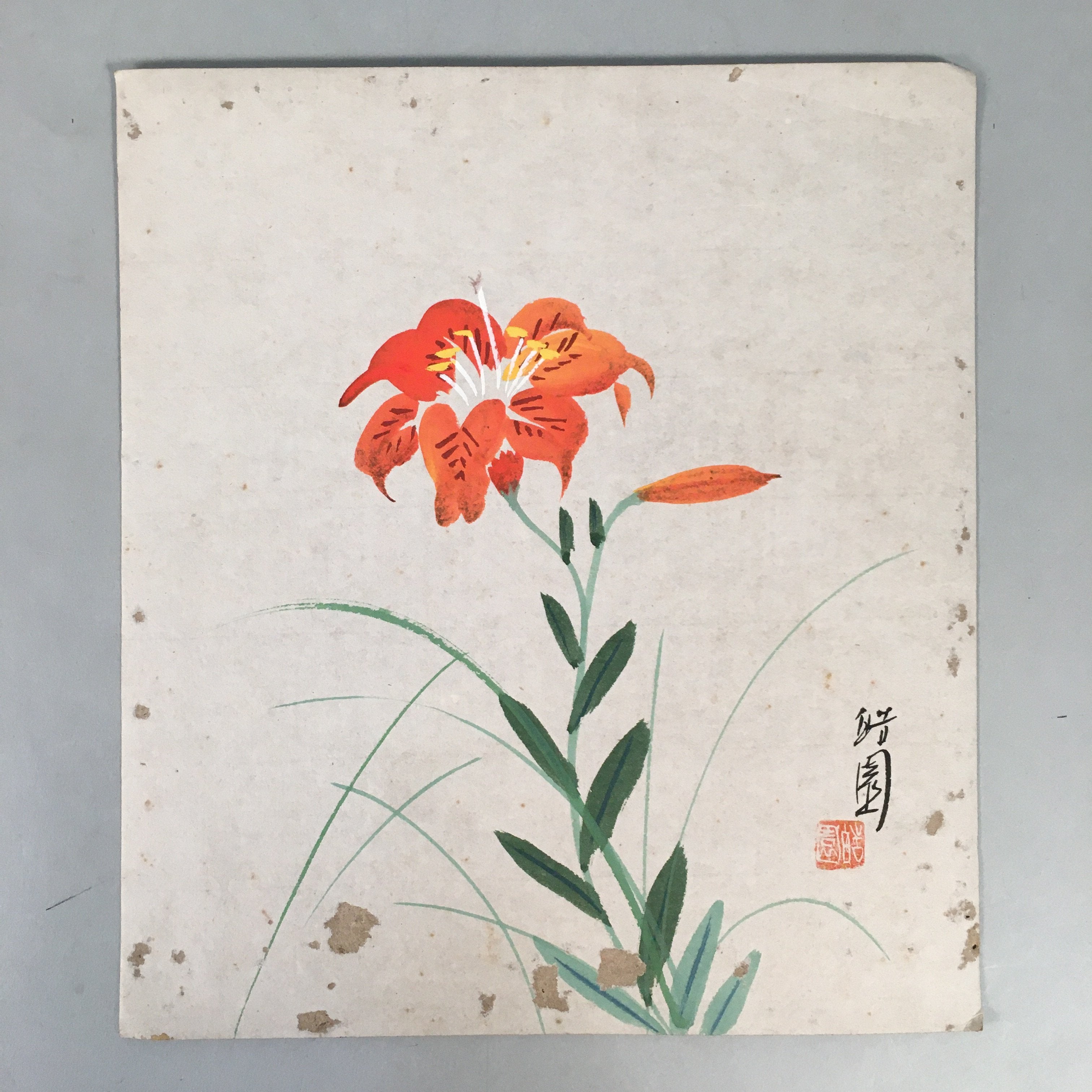 Japanese Art Board Vtg Shikishi Paper Hand-painted Lily Flower Red A313