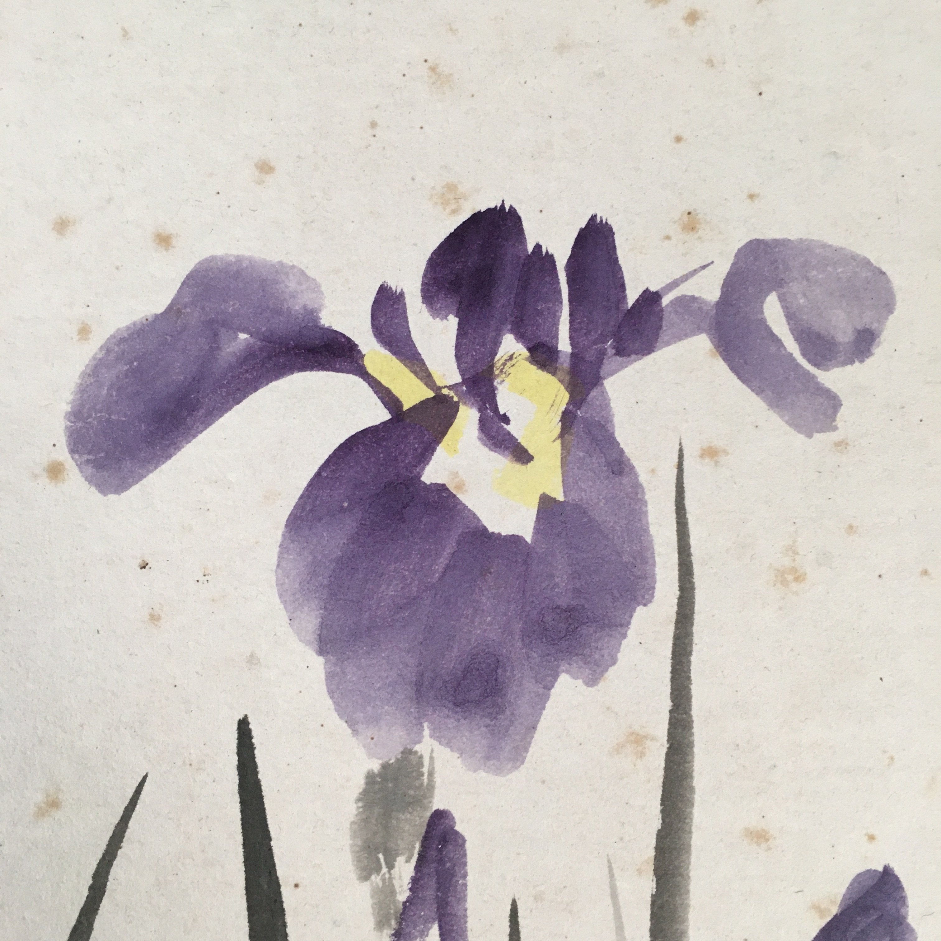 Japanese Art Board Vtg Shikishi Paper Hand-painted Purple Flower Iris A311