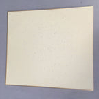 Japanese Art Board Vtg Shikishi Paper Hand-painted Sumie Black White Waterfall A