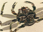 Japanese Art Board Vtg Shikishi Paper Handmade Fabric Picture Crab A447