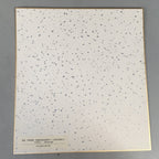 Japanese Art Board Vtg Shikishi Paper Print Buddhist Sutra National Treasure A30