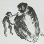 Japanese Art Board Vtg Shikishi Paper Printed Picture Black Monkey A420