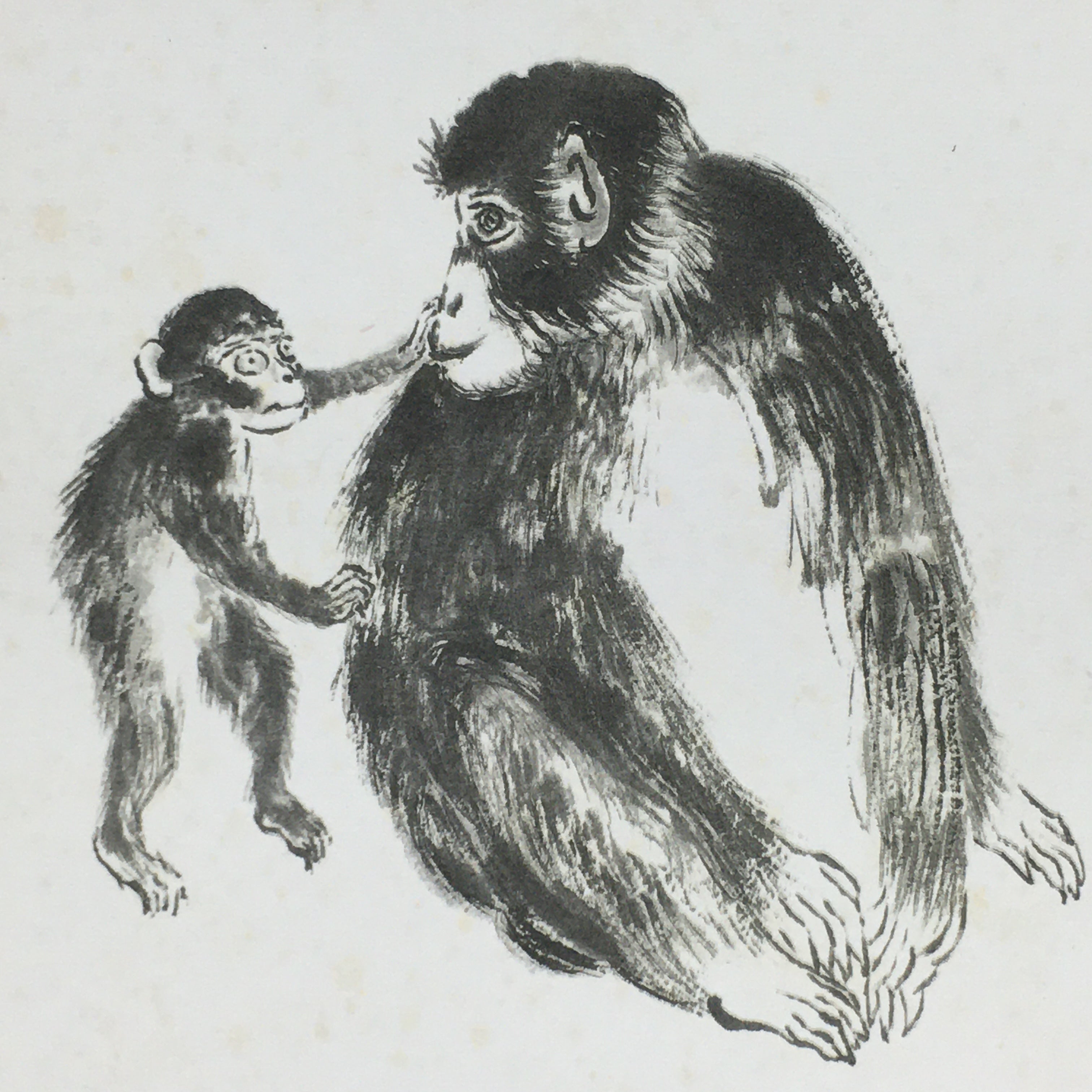 Japanese Art Board Vtg Shikishi Paper Printed Picture Black Monkey A420