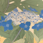 Japanese Art Board Vtg Shikishi Paper Printed Picture Mountain Hydrangea A343