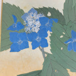 Japanese Art Board Vtg Shikishi Paper Printed Picture Mountain Hydrangea A343