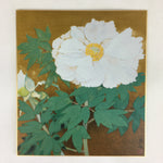 Japanese Art Board Vtg Shikishi Paper Printed Picture Moutan Peony A411